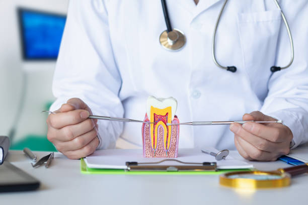 Best Emergency Gum Treatment in Mcalmont, AR